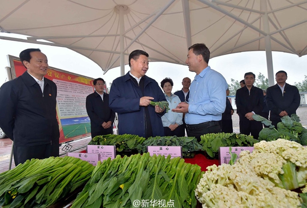 習(xí)近平：緬懷先烈、不忘初心，走好新的長(zhǎng)征路