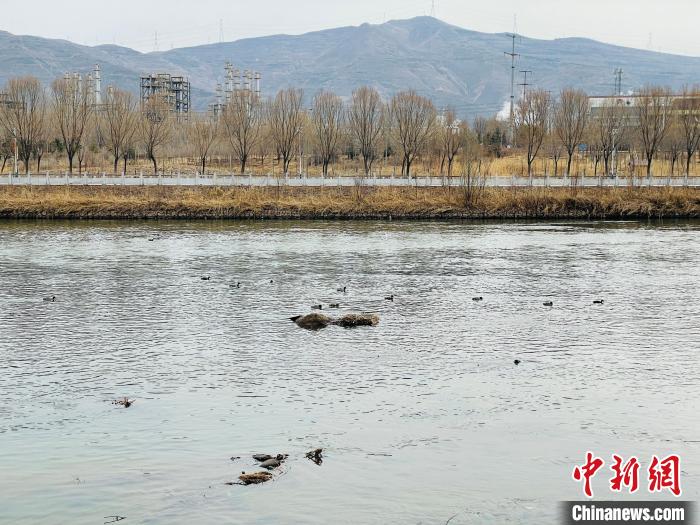 黃河上游最大支流湟水河水質持續(xù)改善