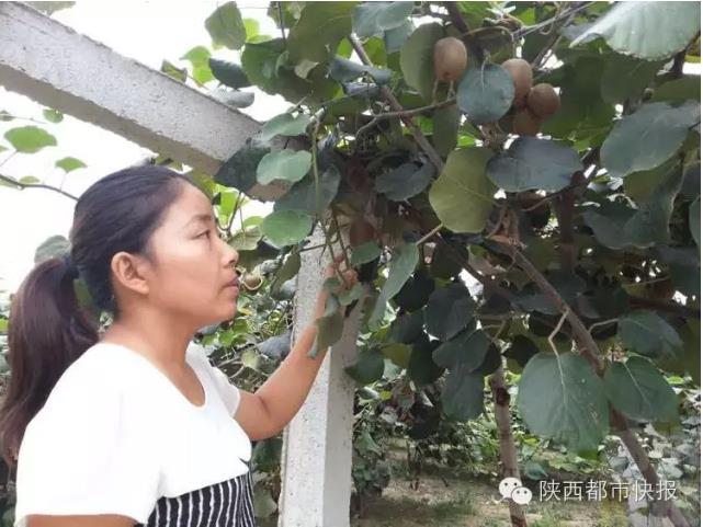 QQ瀏覽器截圖_20150920174741_CA1A17CF56E24d12A8135D019C77F6F5.jpg