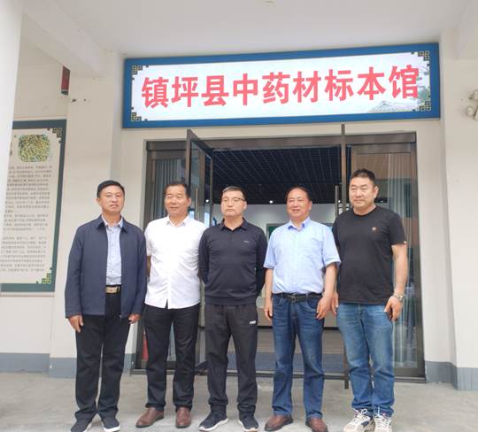 圖示, 示意圖

中度可信度描述已自動生成:ver1