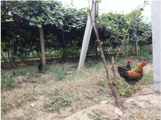 QQ瀏覽器截圖_20150920174823_2BDA56CC518F4f969034D8D7C941AD6E.jpg