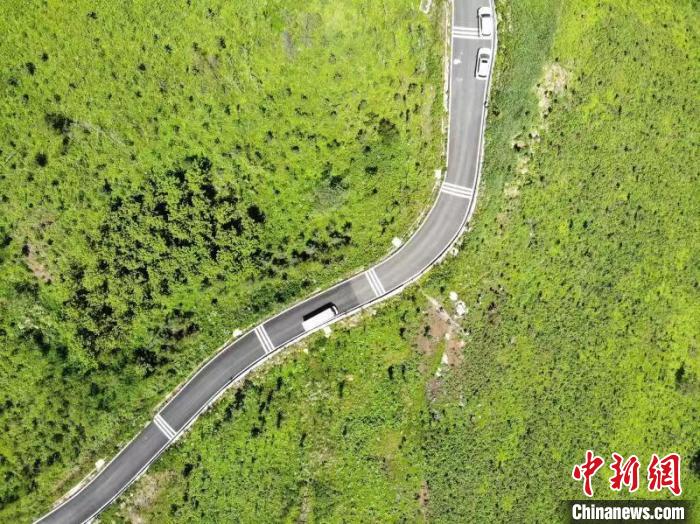 達(dá)州市宣漢巴山大峽谷蜿蜒的山路與茂密的樹林互相印襯。　張浪 攝