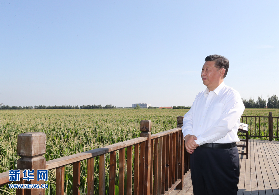 2020年7月22日至24日,中共中央總書記、國家主席、中央軍委主席習近平在吉林省考察。這是7月22日下午,習近平考察四平市梨樹縣國家百萬畝綠色食品原料(玉米)標準化生產(chǎn)基地核心示范區(qū)地塊。 新華社記者 鞠鵬 攝 2020年7月22日至24日,中共中央總書記、國家主席、中央軍委主席習近平在吉林省考察。這是7月22日下午,習近平考察四平市梨樹縣國家百萬畝綠色食品原料(玉米)標準化生產(chǎn)基地核心示范區(qū)地塊。 新華社記者 鞠鵬 攝