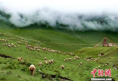 資料圖：夏日的祁連山。郎文瑞攝