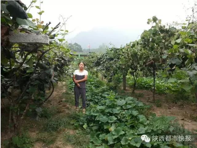 QQ瀏覽器截圖_20150920174748_662316A885E543ad9C9389D256D2BC5E.jpg