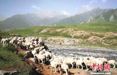 資料圖：夏日的祁連山風(fēng)景如畫?！±晌娜饠z