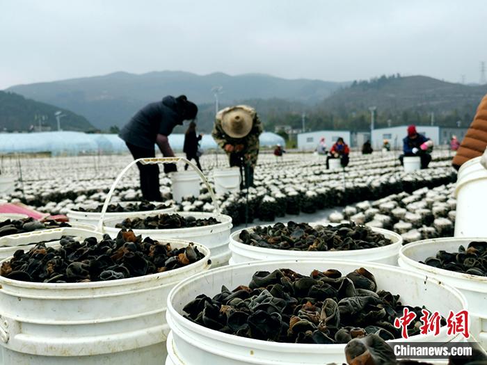 點擊進入下一頁