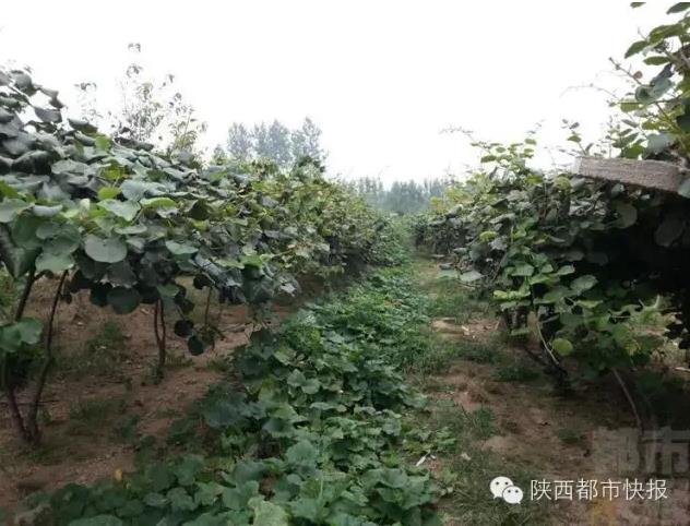 QQ瀏覽器截圖_20150920174837_054481893C6440c6B3937AFBDC948BD5.jpg