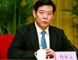 安監(jiān)總局局長(zhǎng)被查