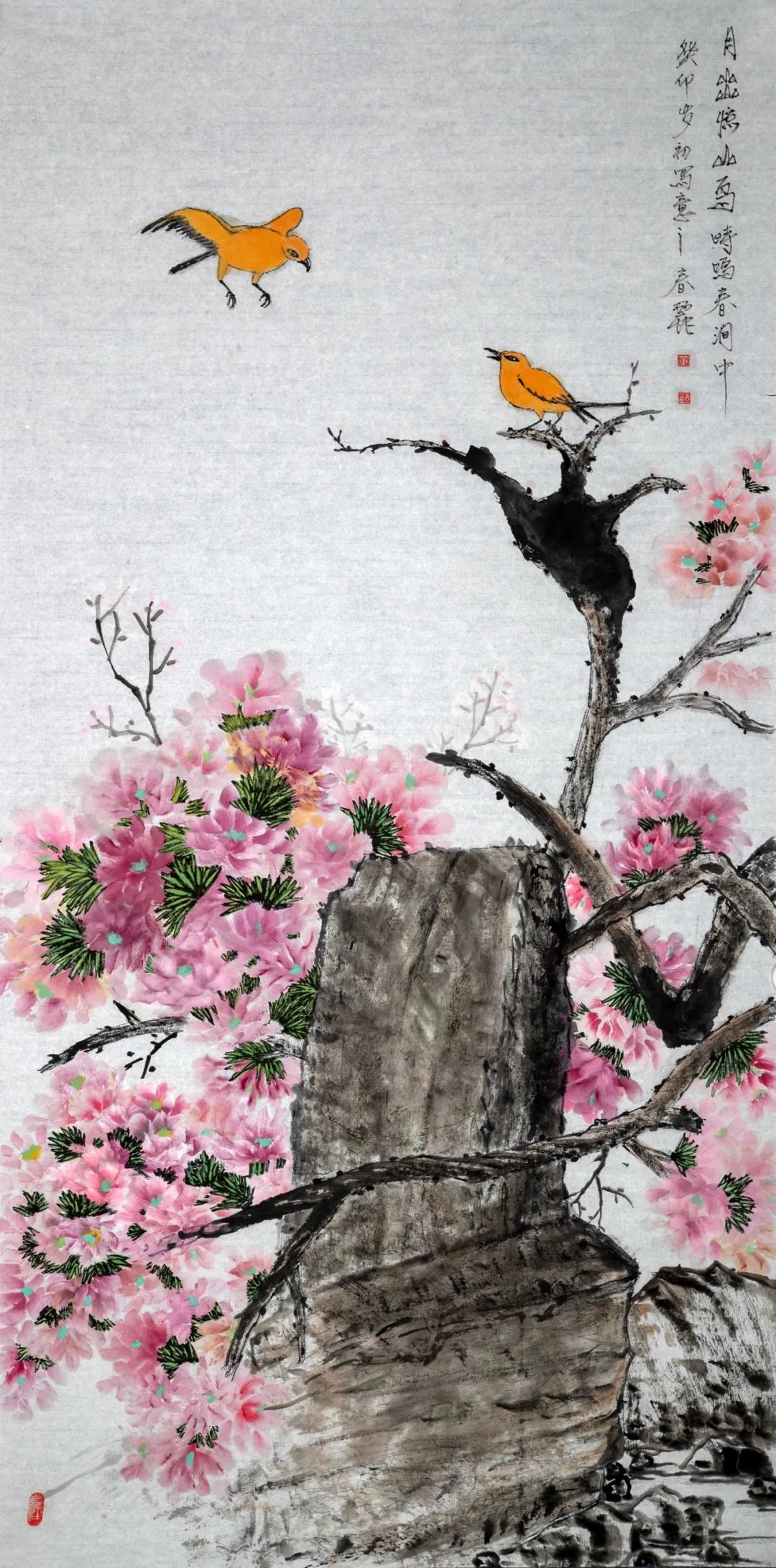 圖片