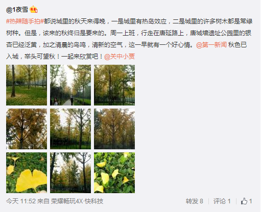 搜狗截圖15??0??9??338_8.png