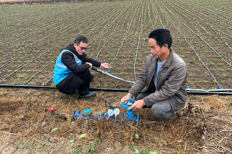 駐村隊員協(xié)助脫貧戶在花生種植田地里進行灌溉。曾麗元攝