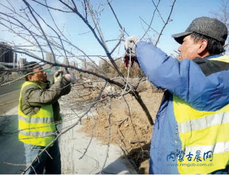 QQ截圖20160223105238.png