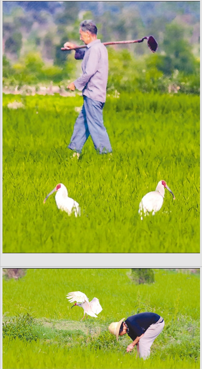 QQ截圖20170527110246.png