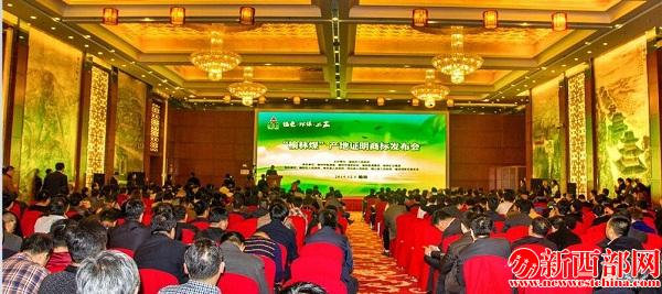 QQ截圖20151201170223.jpg