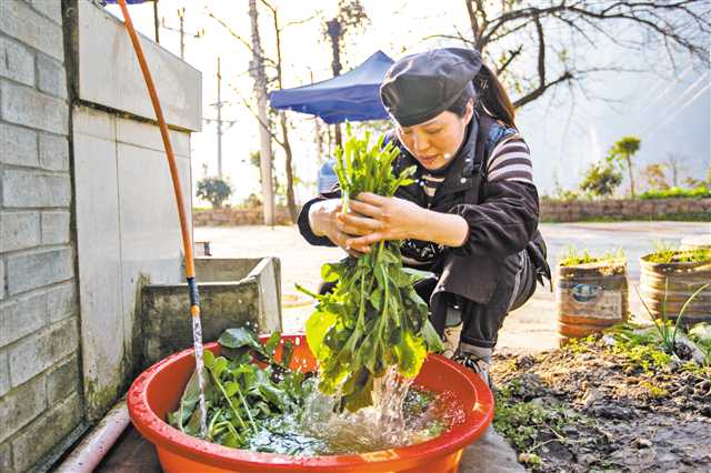 1月12日，巫山縣竹賢鄉(xiāng)下莊村，楊慈正在自家農(nóng)家樂里洗菜備餐。