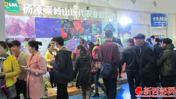 IMG_0591_看圖??jpg